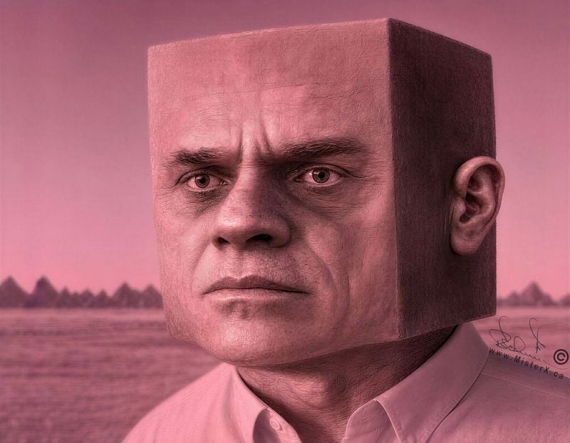The image features a close-up portrait of a man whose head is shaped like a perfect cube, presented in a monochromatic pink tone. His face occupies the front plane of the cube, displaying a serious or intense expression with prominent brow lines, detailed wrinkles around the eyes, and a slightly down-turned mouth. A single, highly realistic ear is visible on the side plane of his blocky head. He wears a button-up dress shirt, and the background depicts a vast, flat landscape under a hazy sky, punctuated by small, distant triangular formations that resemble a mountain range or structures.  